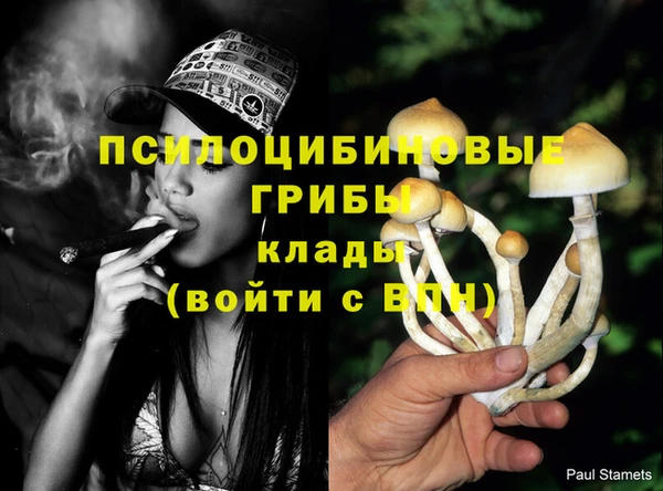 амф Алексеевка