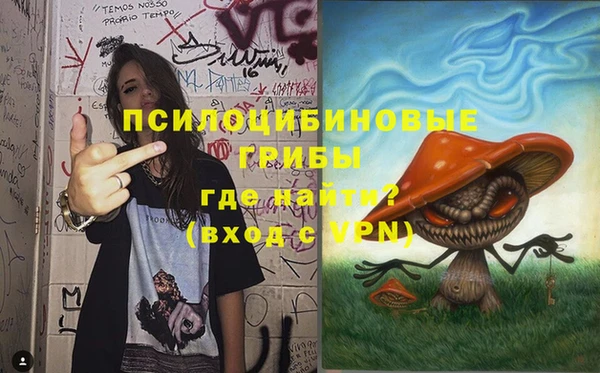 амф Алексеевка